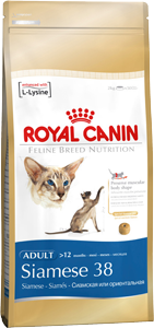   Royal Canin Siamese 38    (2 )