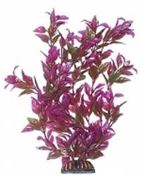 �������� Triton ������������� (29��, 2973)