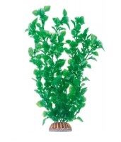 �������� Triton ������������� (29��, 2977)