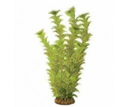 �������� Triton ������������� (25��, 2576)