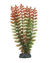 �������� Triton ������������� (29��, 2910)