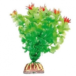 �������� Triton ������������� (13��, 1333)