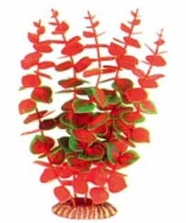 �������� Triton ������������� ������� (25��, 2577)