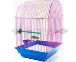 ������ ��� ���� ������� (470)