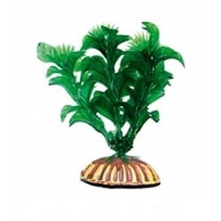 �������� Triton ������������� (13��, 1345)