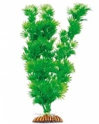 �������� Triton ������������� (34��, 3446)