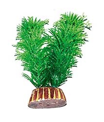 Растение Triton Пластмассовое (10см, 1022)