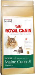   Royal Canin Maine Coon 31      (2 )