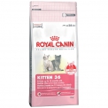   Royal Canin Kitten 36    4  (4 )