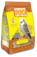  Rio    (  , 500 )