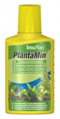  Tetra Planta Min   (250, 139299)