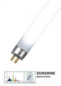  Hailea Sunshine    (T5, 24w, 549, Hl-T5lt-24s)