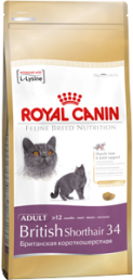   Royal Canin British Shorthair 34      (400 .)