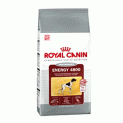   Royal Canin Club Energy      (20 )