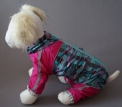    Pet Fashion Mango  (10, )