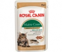   Royal Canin    (85)