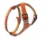  Dogger 12 (120300)